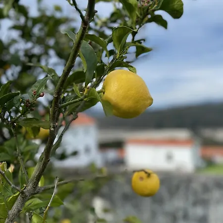 Beachfront Surf & House, Charming & Quiet