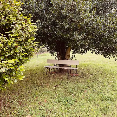 Gæstehus Beachfront Surf & House, Charming & Quiet Valdoviño