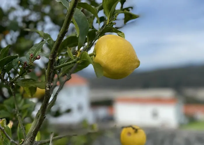 Beachfront Surf & House, Charming & Quiet