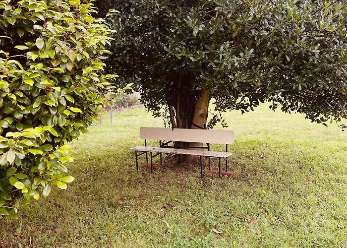 Konukevi Beachfront Surf & House, Charming & Quiet Valdoviño